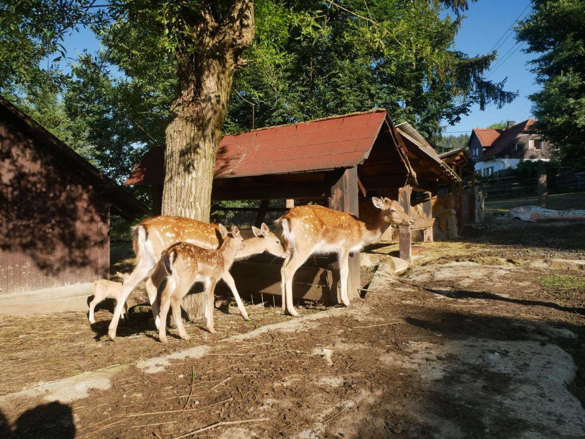 Penzion Obora Prostřední Bečva 外观 照片
