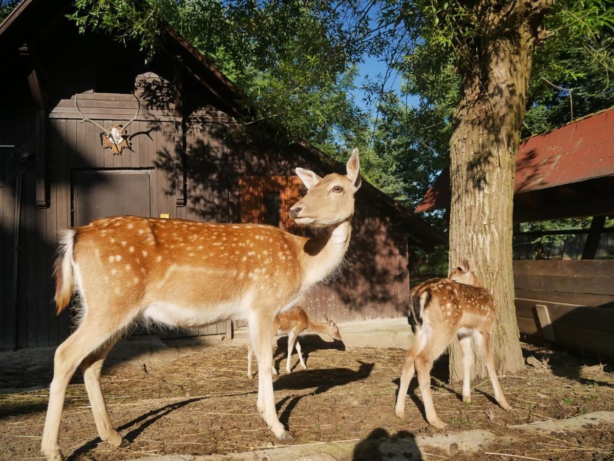 Penzion Obora Prostřední Bečva 外观 照片